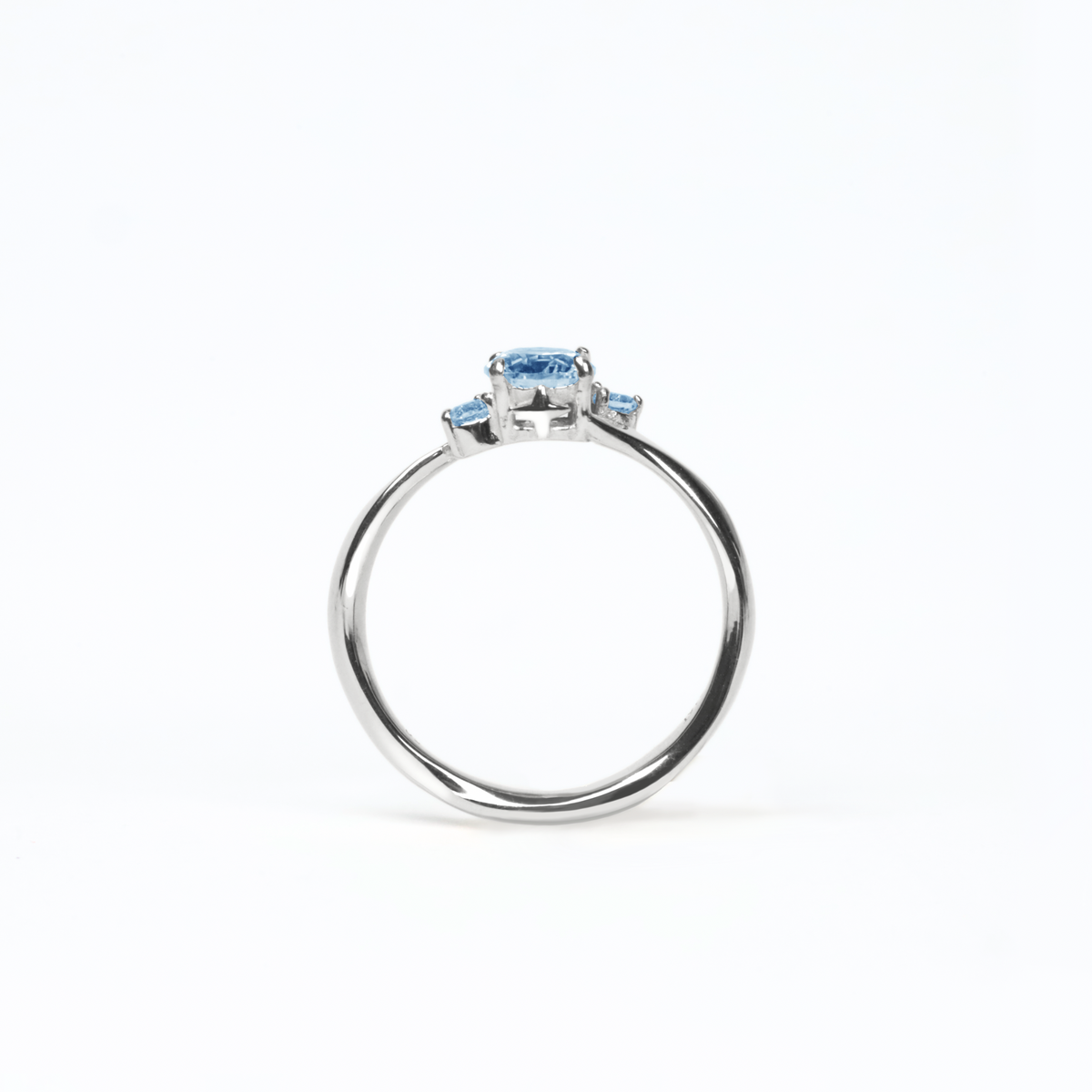 Moonlit Pursuit Ring