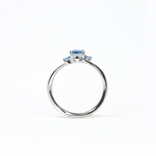 Moonlit Pursuit Ring